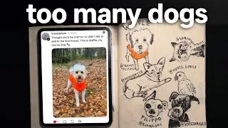 Thumbnail: i tried to draw all of your dogs