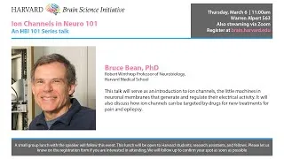 Thumbnail: Ion Channels in Neuro 101 w/ Bruce Bean