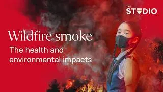 Thumbnail: Wildfire smoke: The health and environmental impacts