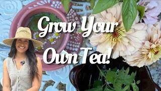 Thumbnail: Made Tea Using Only Herbs From My Garden 🌿