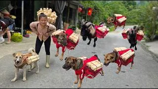 Thumbnail: Mountain Life: Selling banana cores to buy food for my pets - ha thi muon