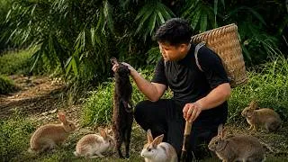 Thumbnail: A Day of Survival for a Father and Child in the Mountains and Forests of Vietnam