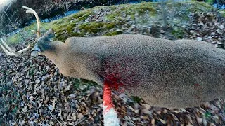 Thumbnail: I SPEARED a BUCK!!