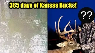 Thumbnail: Kansas GIANTS! One Year Trail Cam Dump!