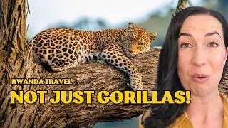 Thumbnail: Rwanda Travel Guide: Gorillas, Chimps, Safari & What I’d Do Differently