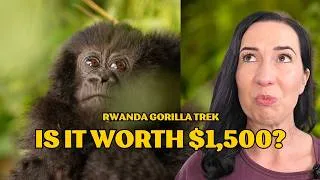 Thumbnail: Rwanda Gorilla Trekking Guide: What It Costs & What to Expect
