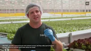 Thumbnail: Harvesting 10,500 Pounds of leafy Greens in Ontario