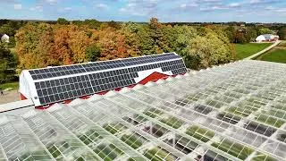 Thumbnail: How Canada Is Growing Greens Year-Round: Inside Haven Greens