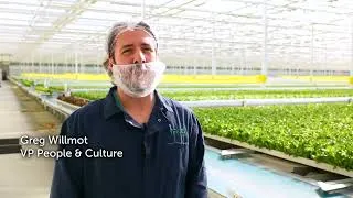 Thumbnail: How a Family Farm Became a High Tech Greenhouse in Ontario