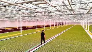 Thumbnail: A Sky-High Look at the Future of Farming