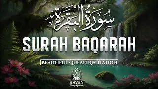 Thumbnail: Surah Al-Baqarah (سورة البقرة) | Powerful Recitation for Allah’s Protection & Blessings |