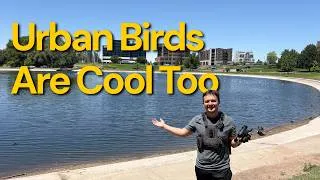 Thumbnail: It's Time To Feature the Birds People Ignore at a City Park