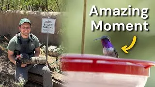 Thumbnail: So Many Incredible Birds in Southeastern Arizona's Huachuca Mountains
