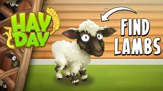 Thumbnail: The LAMBS Have Run Away!