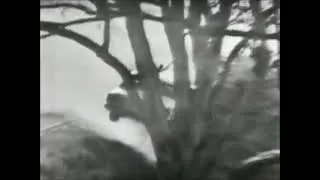 Thumbnail: Tony Roberts Crash Bathurst 1970