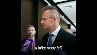 Thumbnail: Hungarian Foreign Minister was asked - "Are You guilty of sending wrong signals?"