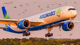 Thumbnail: ✈️ 60 CLOSE UP Airplane TAKEOFFS & LANDINGS 🇫🇷 PARIS Orly Airport Plane Spotting [ORY/LFPO]