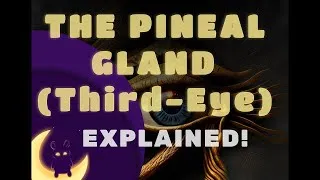 Thumbnail: 👁️ THIRD EYE ACTIVATION! The Pineal Gland EXPLAINED! | Documentary 2023!