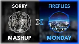 Thumbnail: Sorry x Fireflies - Justin Bieber vs Owl City