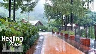 Thumbnail: When the Arboretum Becomes Most Lush Clear Rain Sounds Among Green Trees Peaceful Nature ASMR