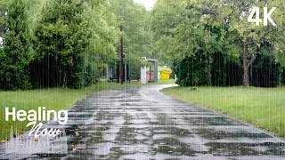 Thumbnail: Rain Makes an Ordinary Walking Path Feel Special. Rainy Scenery & Peaceful Afternoon Rain Sounds