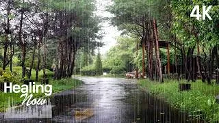 Thumbnail: Real Rain Sounds for Sleepless Nights 🌧️ | Rainy Holiday Park & Natural White Noise for Deep Sleep