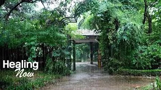 Thumbnail: Calming Rain Sounds to Clear Complex Thoughts | Pure Nature White Noise for Inner Peace, Rain ASMR