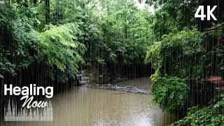 Thumbnail: Real Rain Sounds for Focus & Relaxation Pure Nature White Noise for Deep Sleep, Stress Relief