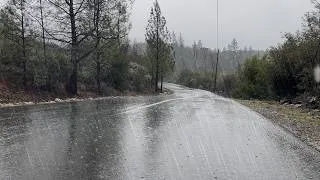 Thumbnail: A DOWNPOUR WITH ROLLING THUNDER. #rain #thunder #whitenoise #meditation