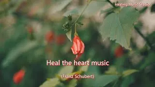 Thumbnail: Heal the heart music (Franz Schubert)
