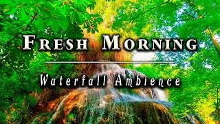 Thumbnail: Nature Therapy for your Morning Routine🌞 Calm Positive Morning Waterfall Vibes 🌳Natural Healing Flow