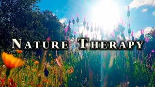Thumbnail: Happy Energy Nature Therapy⋆💜🌿 Feel Good Deep Nature Ambience & Birdsongs for Morning Meditation