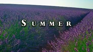 Thumbnail: Morning Energy 🌿💜 Relaxing Summer Ambience in Lavender Fields 💜🌿 Healing Frequency Nature Therapy