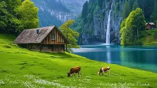 Thumbnail: Beautiful Calming Music for Stress, Worry and Overthinking🌿Relaxing Music for Emotional Balance #4