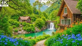 Thumbnail: Music heals the heart and blood vessels, Calming music restores the nervous system, relaxing #3