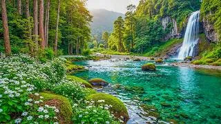 Thumbnail: Restore Your Nervous System 🕊️ Relaxing Piano Music & Bird Sounds for Sleep