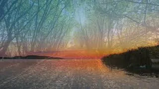 Thumbnail: Heart Chakra — Phase 5 – Integration & Stillness (12 Min) | 639 Hz Meditation