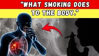 Thumbnail: The Real Effects of Smoking on Your Body : Smoking Explained #healthtips #facts