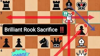 Thumbnail: Genius Mikhail Tal Sacrifice 2 Rook & Knight & Force CHECKMATE in 9 Combination to Bukhuti ‼️❤️