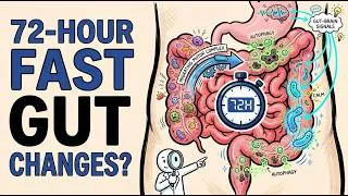 Thumbnail: What 72 Hours of Fasting Does to Your Gut (Autophagy & Microbiome)