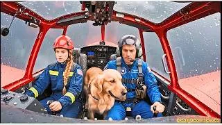 Thumbnail: The Abyss of Fate: Rescuing a Bear Cub from Flash Floods Amidst a Fierce Storm| Heartbeat Heroes