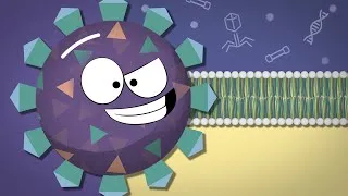 Thumbnail: Heath (Almost) Cures Coronavirus (Virology Explained)