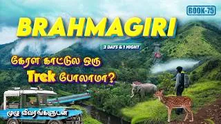 Thumbnail: 🌿🐘Offbeat Wayanad Tholpetty Wildlife Safari & Brahmagiri Trek Adventure 🏕️ | 2 Days Complete Guide
