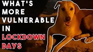 Thumbnail: We think we are more vulnerable than them in Quarantine days? | Corona Pandemic