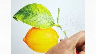 Thumbnail: LEMON STUDY - Lesson In Watercolour – 1m Time Lapse