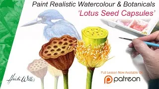 Thumbnail: LOTUS SEED CAPSULES - LESSON In Watercolour Introduction