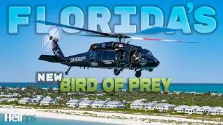 Thumbnail: Florida's New Bird of Prey