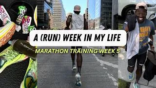 Thumbnail: marathon training week 5 - things are getting real