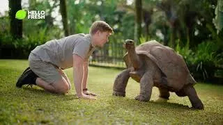 Thumbnail: Tame Weeknight Dinners with Robert Irwin!