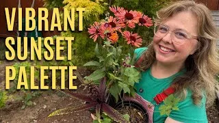 Thumbnail: Adding Drama and Contrast to the Border | Echinacea, Eucomis & Geranium